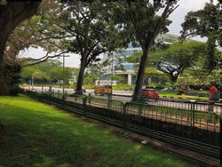 Blk 538 Ang Mo Kio Avenue 5 (Ang Mo Kio), HDB 4 Rooms #169542542